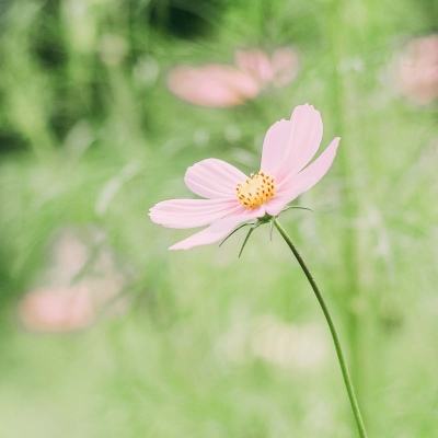 黄敏：6月底前完成东阳木雕红木家具行业环保整治