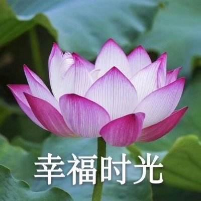 稻熟虾肥、果园飘香金秋时节各地“硕果累累”迎来好“丰”光