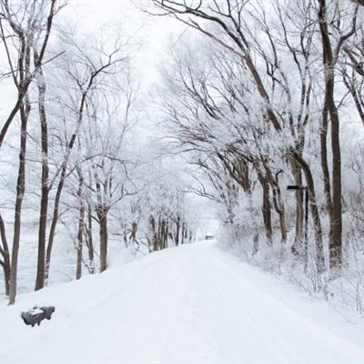 新华网与网易《蛋仔派对》联合发布“数字冰雪文旅地图”探索文旅上分新答卷